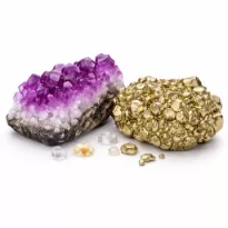 Crystal Chips