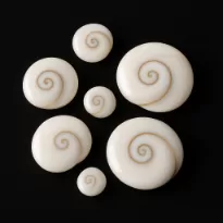 Gomti Chakra