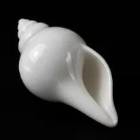 Shankh