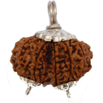 Gauri Shankar Rudraksha